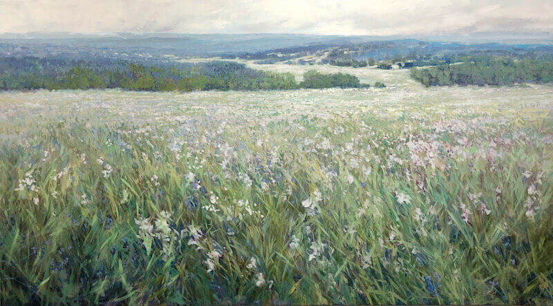 meadows, flowers, Collingwood