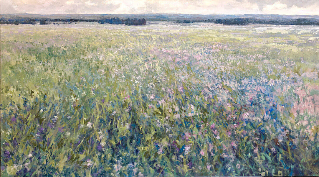 fields of flowers