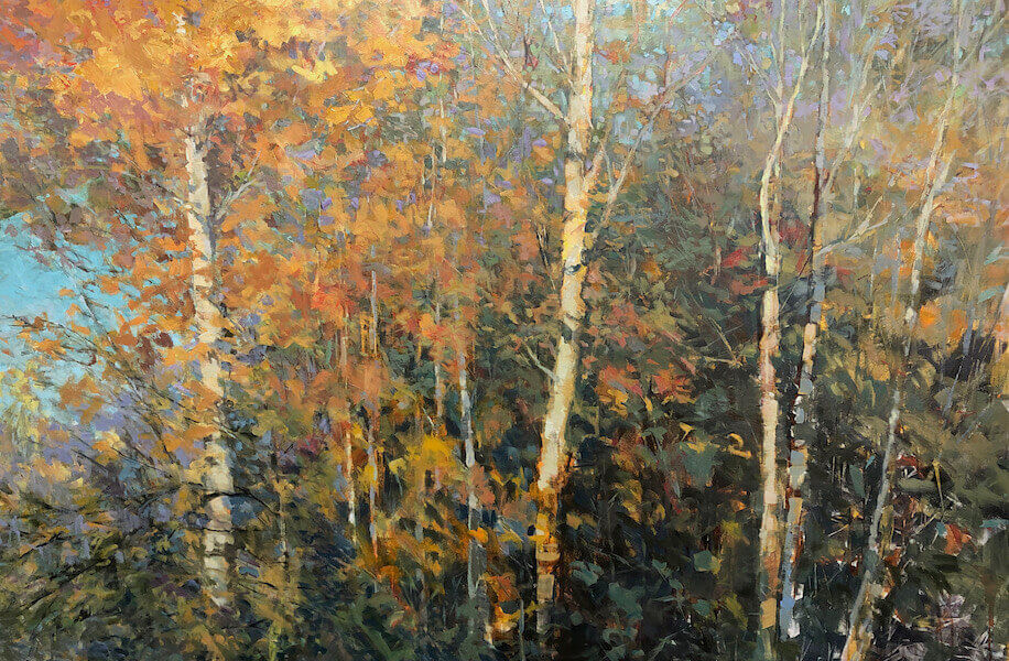 fall colours and birch trees