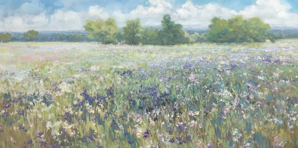 meadow, flowers, landscape