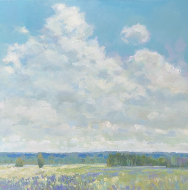 flower meadow with cloud filled sky